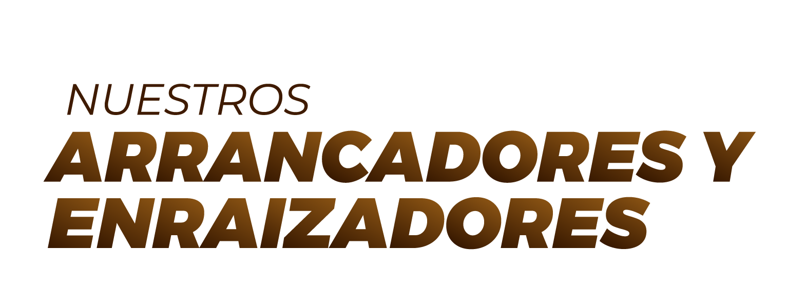 Logotipo de la empresa
